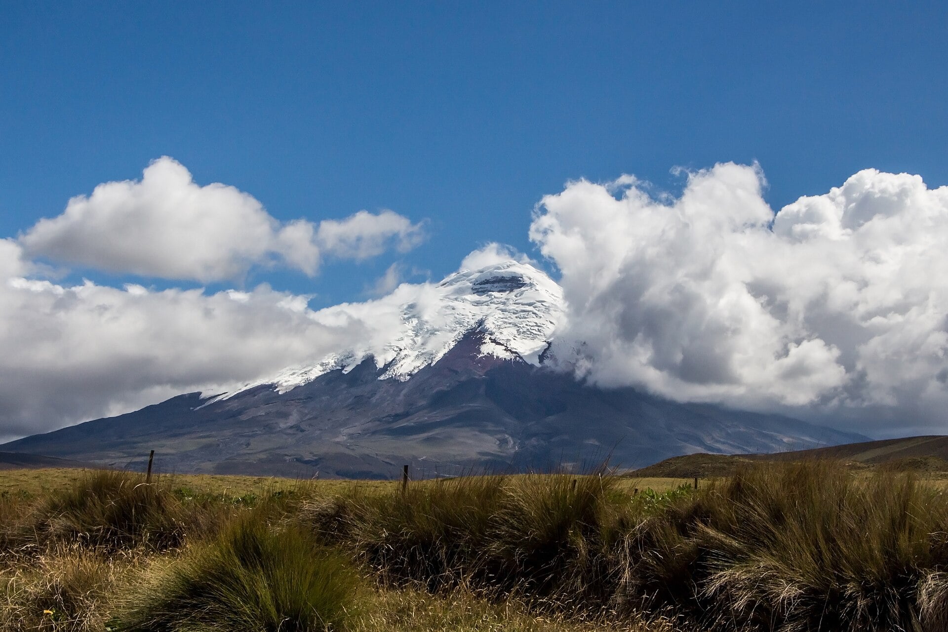Ecuador and Its Neighbours in the Andes